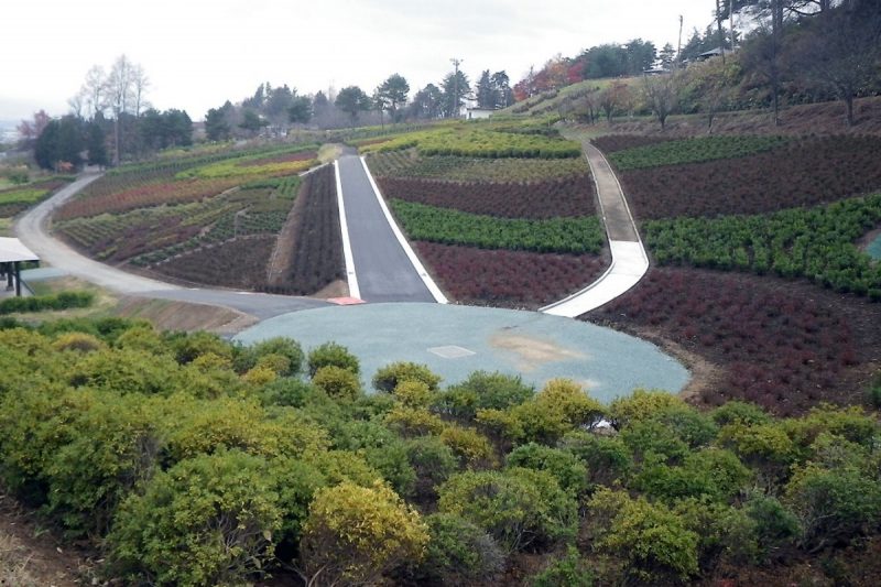 寒河江公園つつじ園整備工事